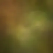 shop_bg
