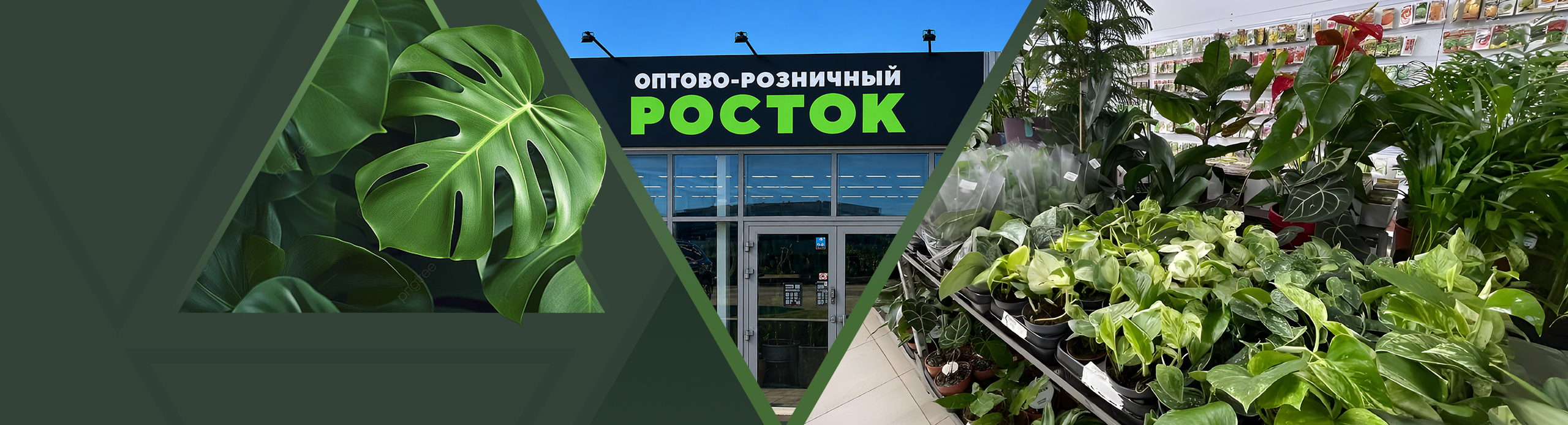 shop_banner
