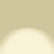 shop_bg