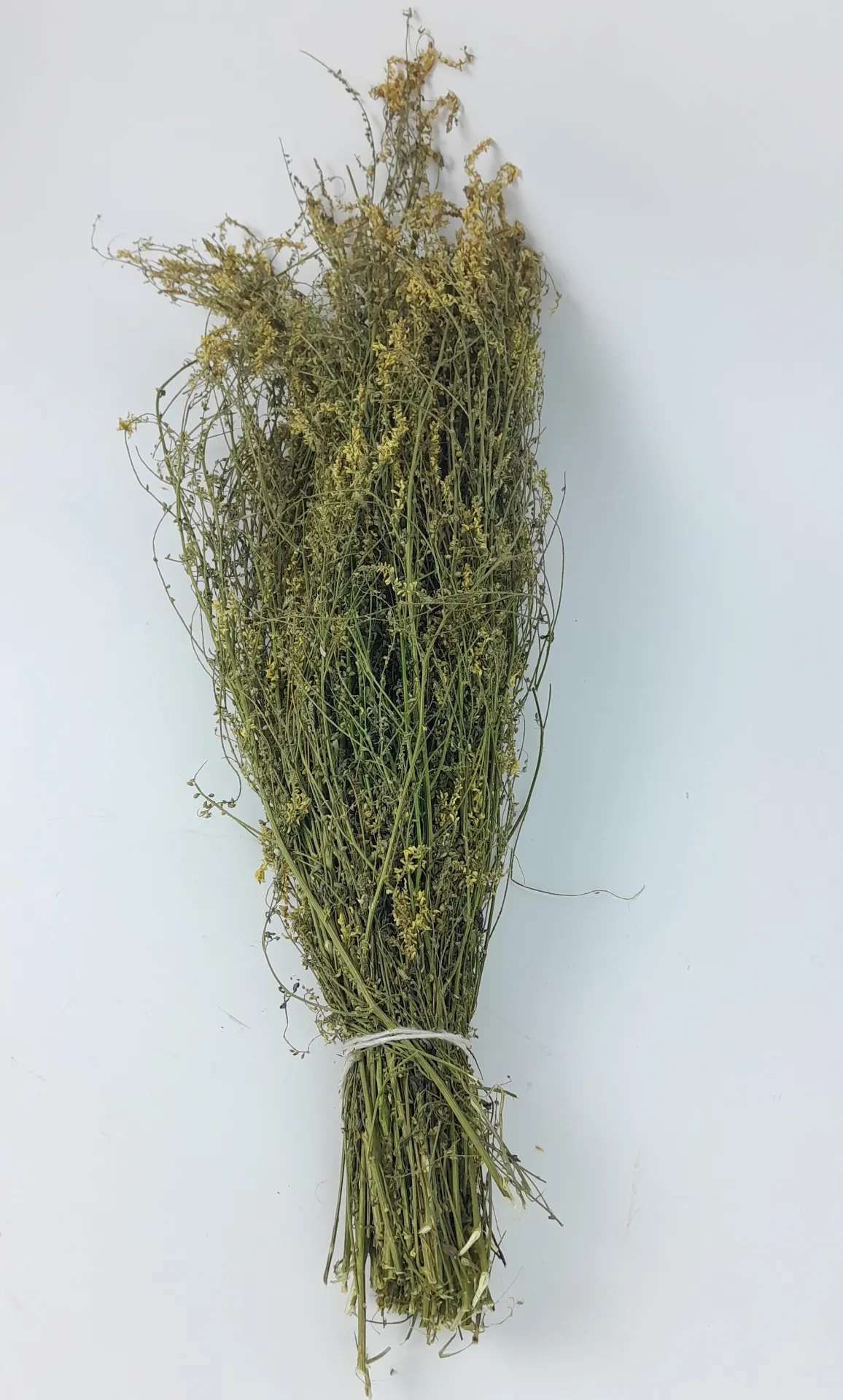 product_file