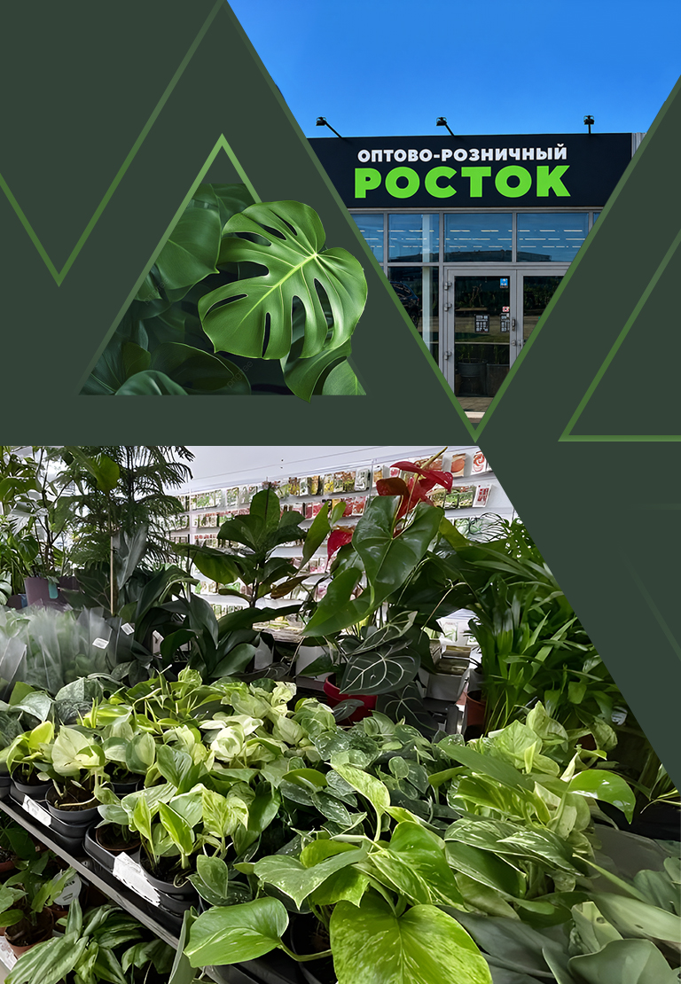 Садовый центр Росток