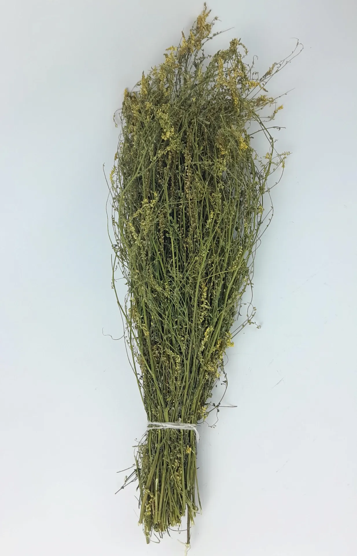 product_file
